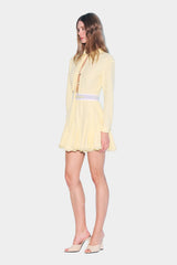 Daria Mini Dress